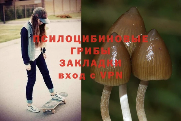 амф Балахна